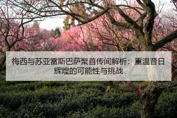 梅西与苏亚雷斯巴萨聚首传闻解析：重温昔日辉煌的可能性与挑战
